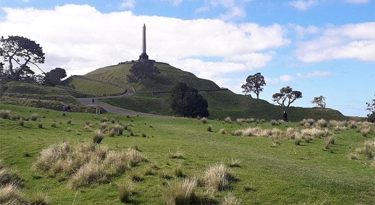 One Tree Hill near Hobson Lodge